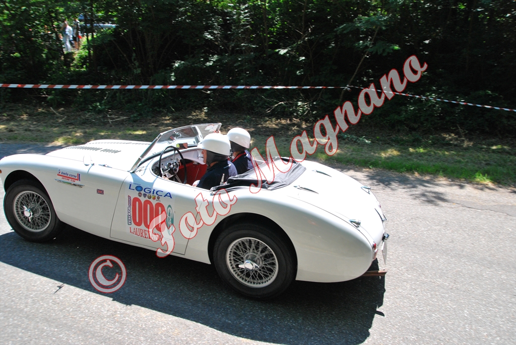 DSC_5772.jpg